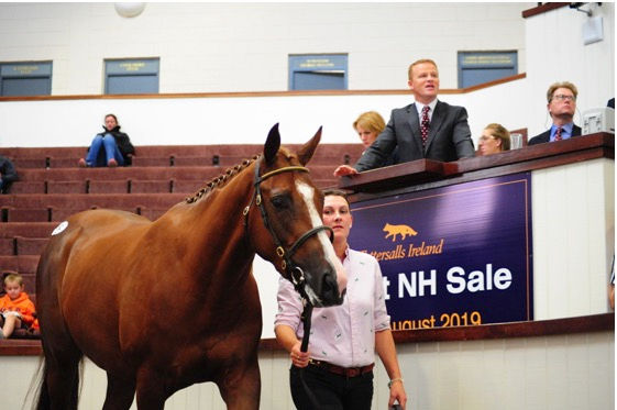 Jet Away Tops Day Three At August NH Sale feature image