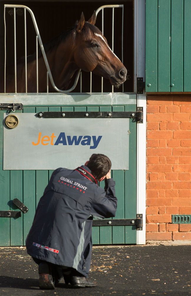 Jet Away Passes the 100 Mares Covered Mark feature image