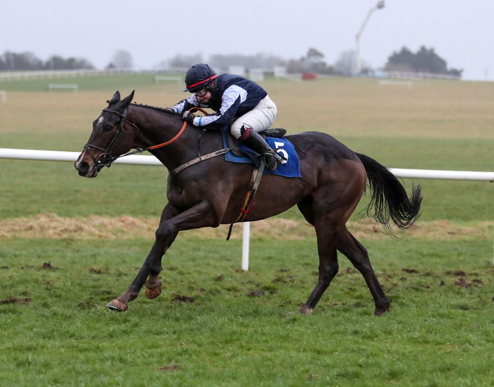 And The Winners Keep Coming For Jet Away Ahead Of Cheltenham feature image