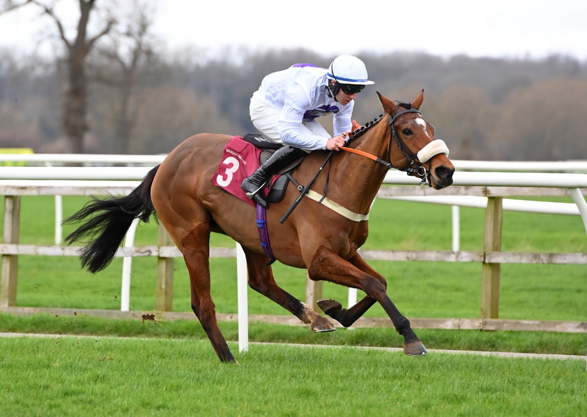 Eye catching maiden winner feature image
