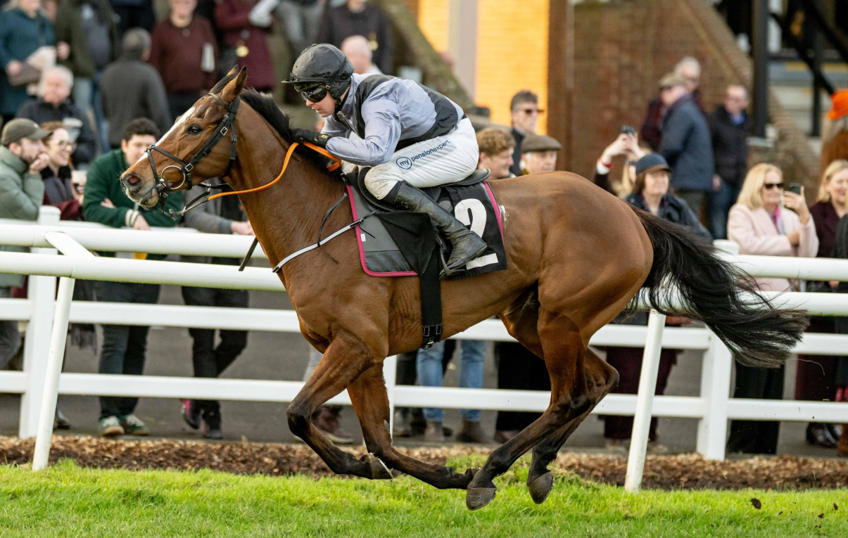 Trio of impressive winners feature image